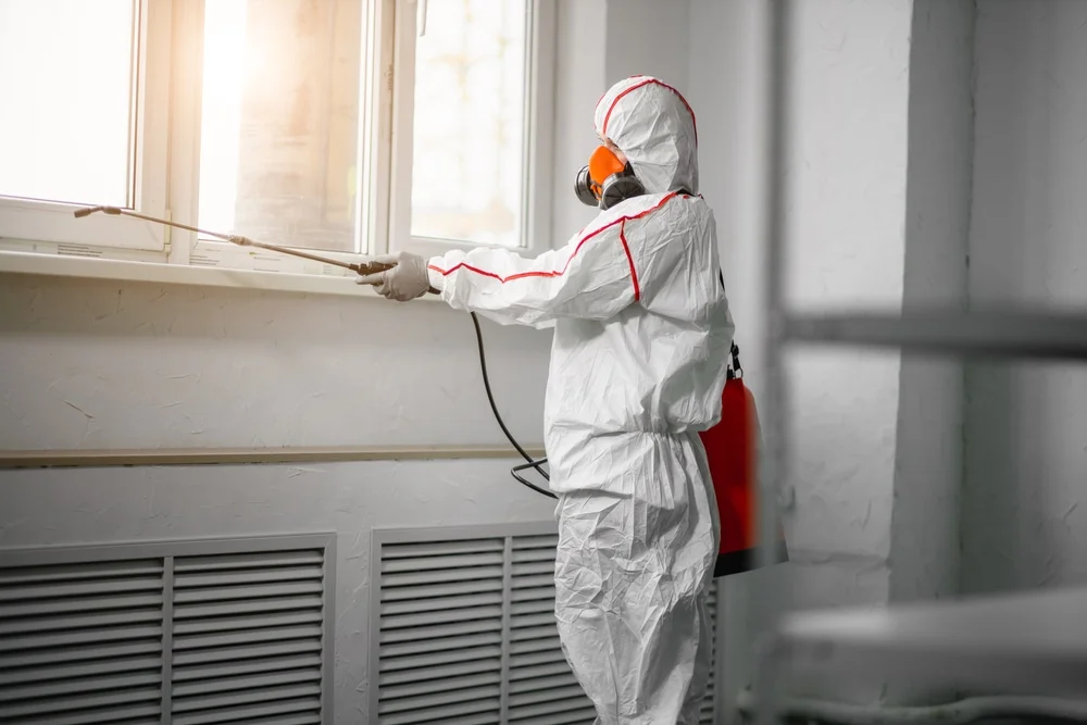 Professional mold remediation services in Eden Valley, MN